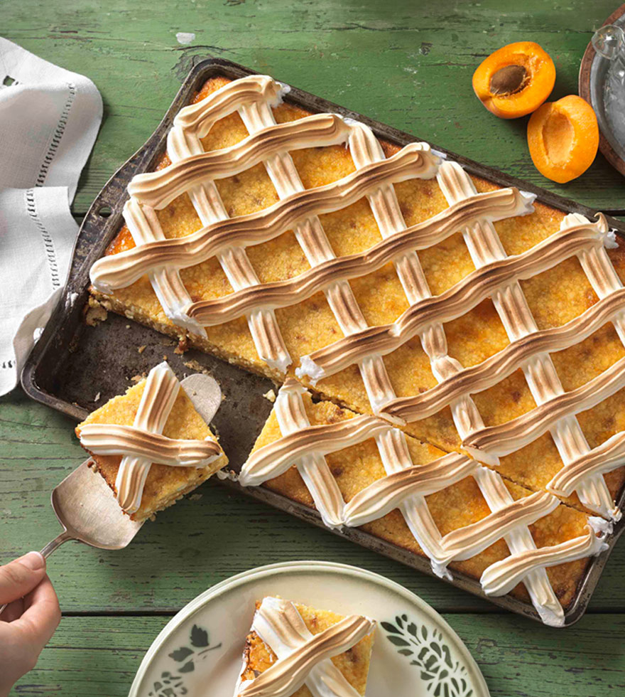 Ungarische Topfen-Marillenschnitte mit Gitter