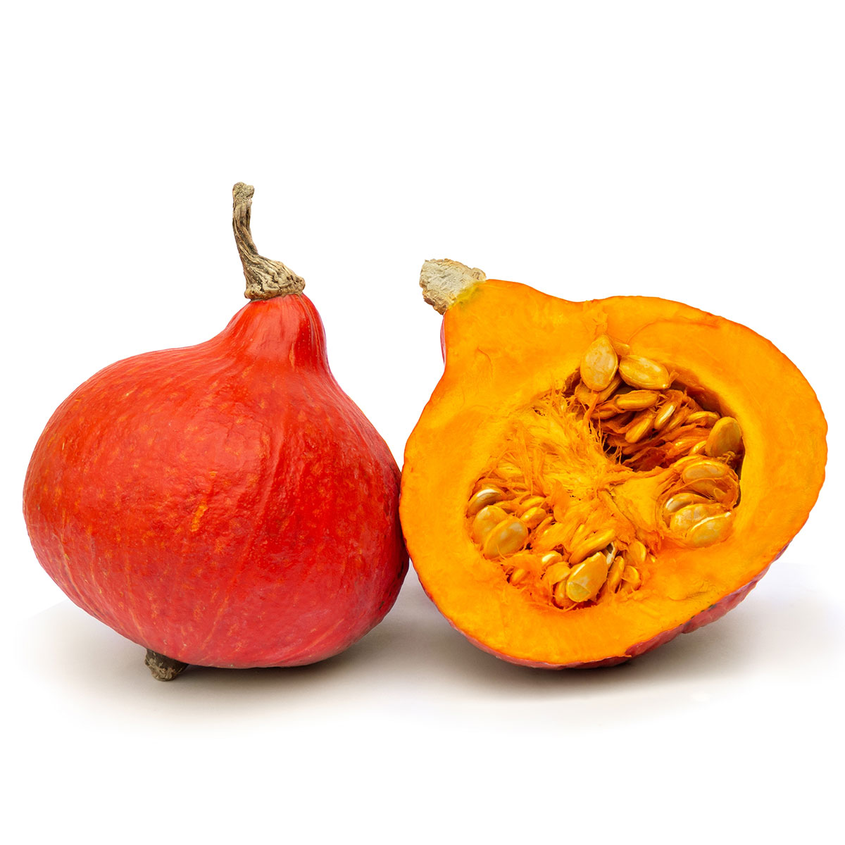 Hokkaido Kürbis