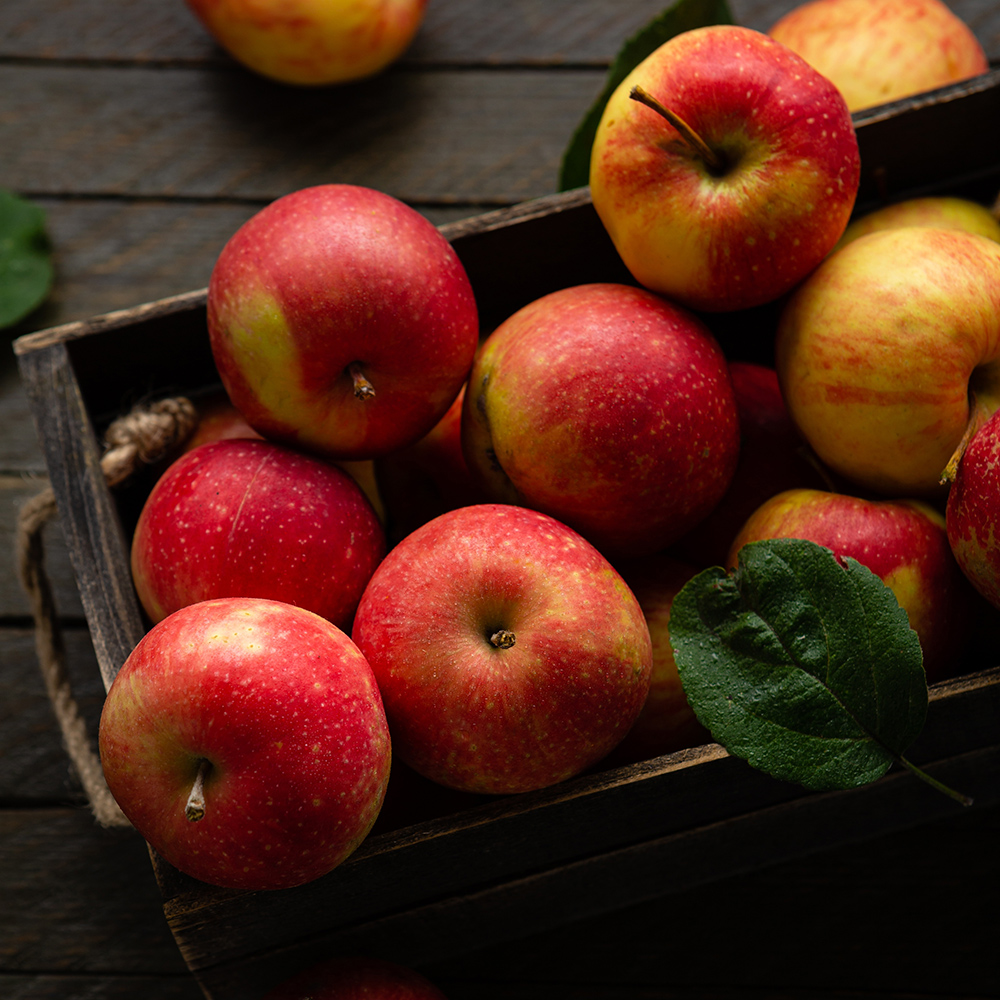 Äpfel nach Saison
