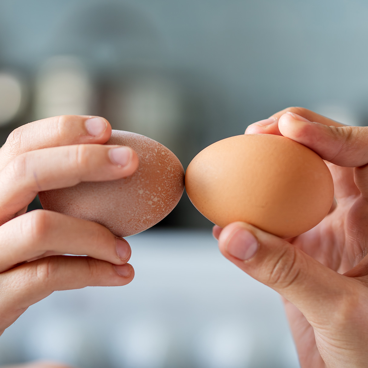 Eier pecken