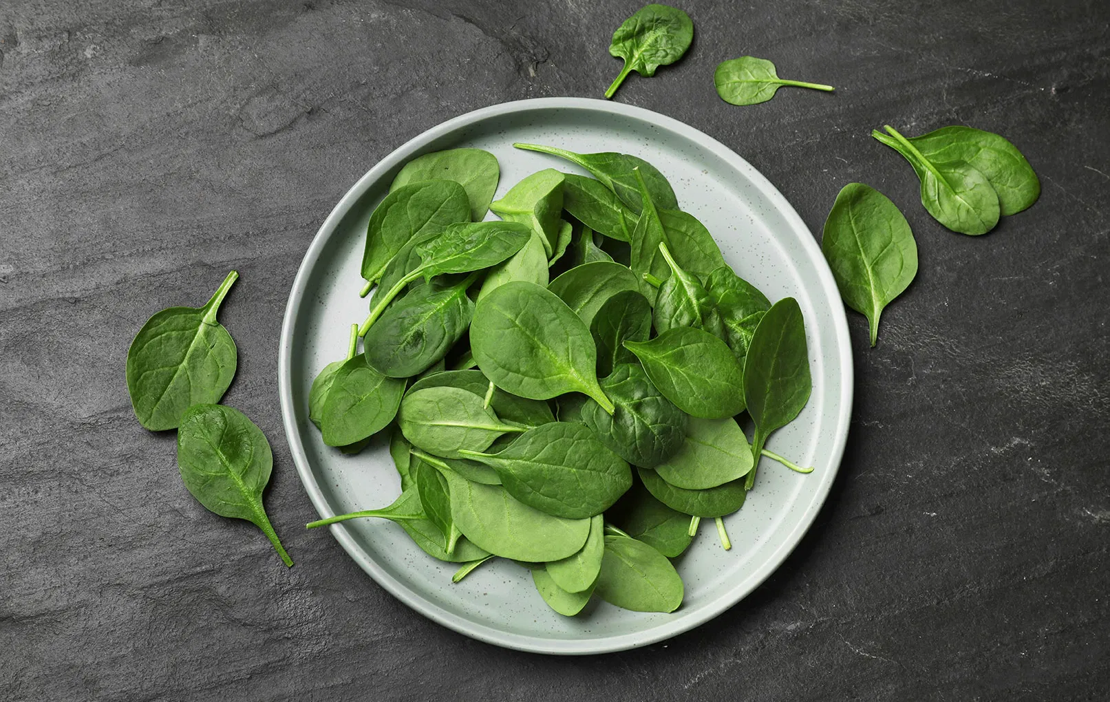 Rezepte mit Spinat
