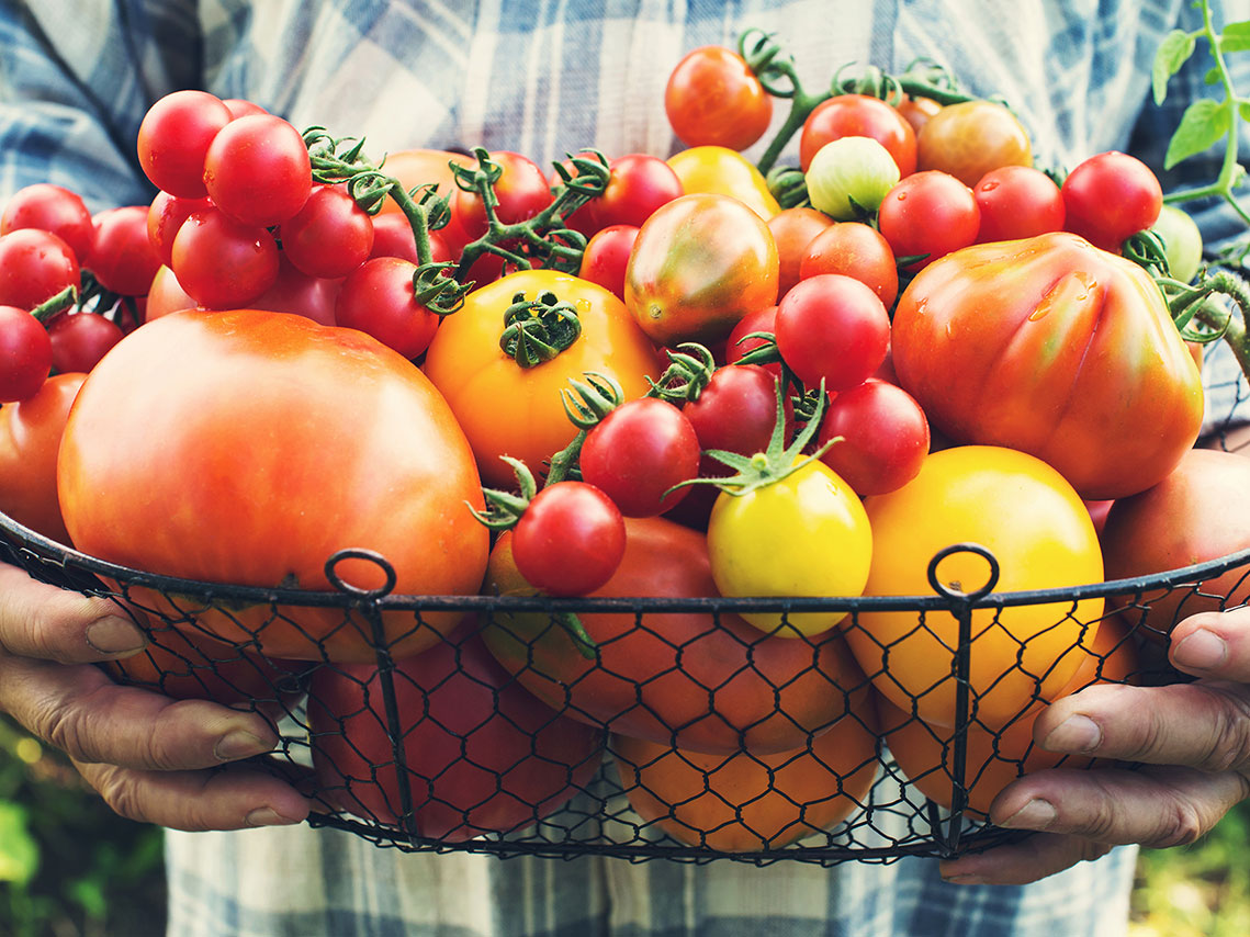 10 österreichische Tomatensorten