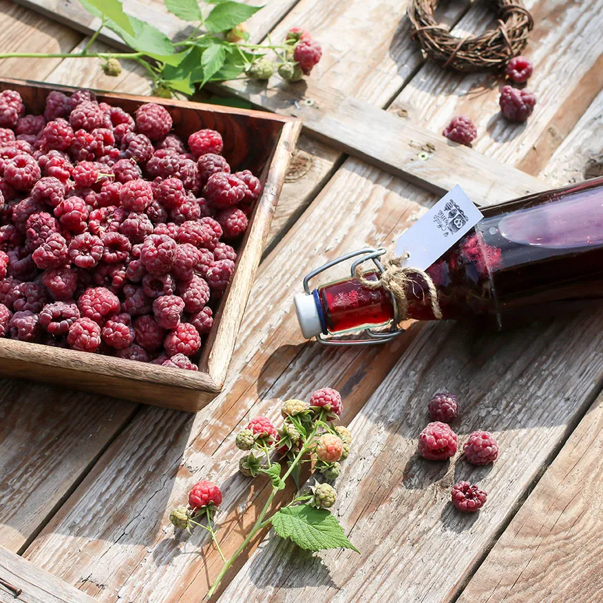 Beeren verarbeiten