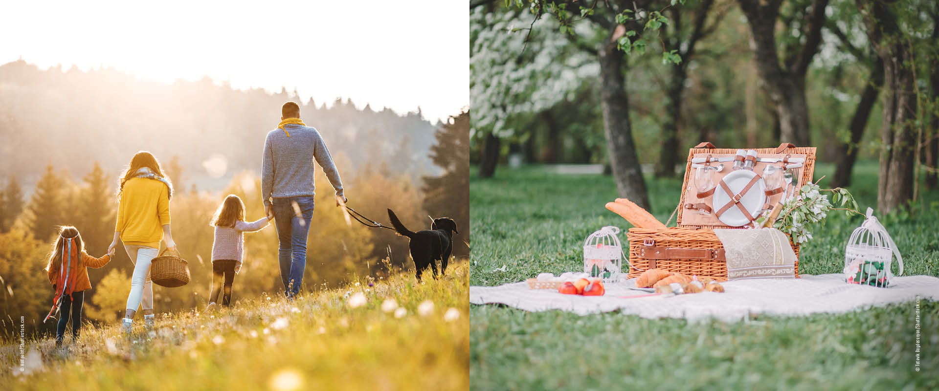 Bladerdeeghapjes bij een familiepicknick in de natuur
