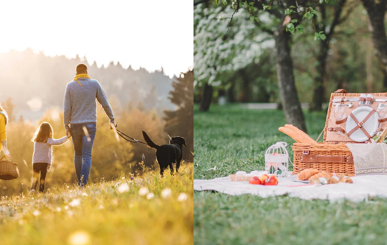 Bladerdeeghapjes bij een familiepicknick in de natuur