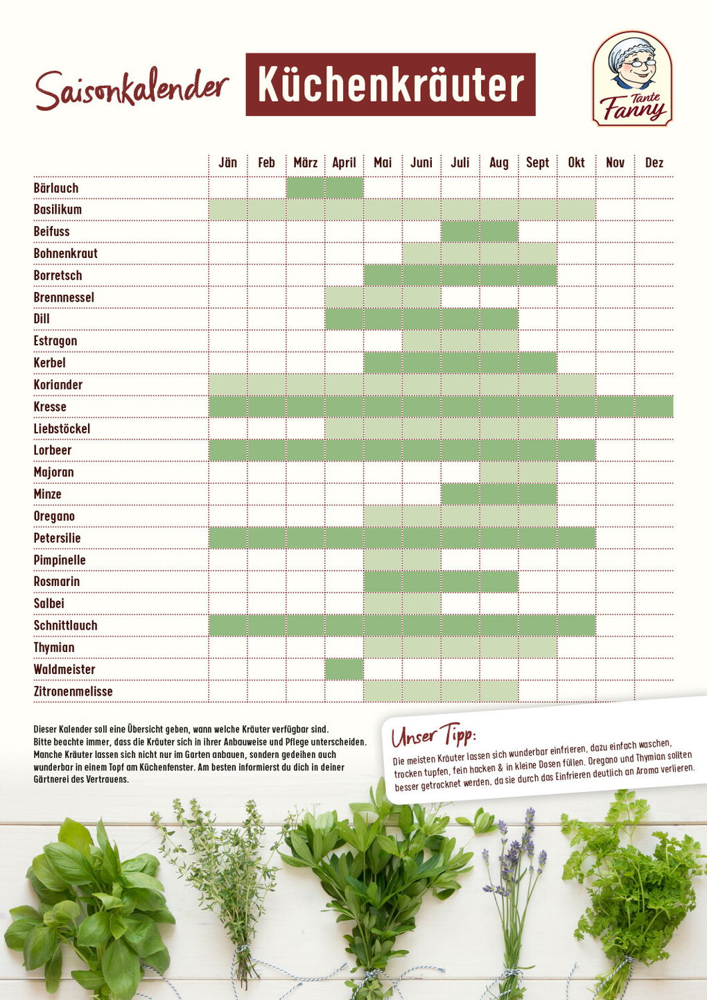 Coverbild für das Rezeptheft Kräuter Saisonkalender