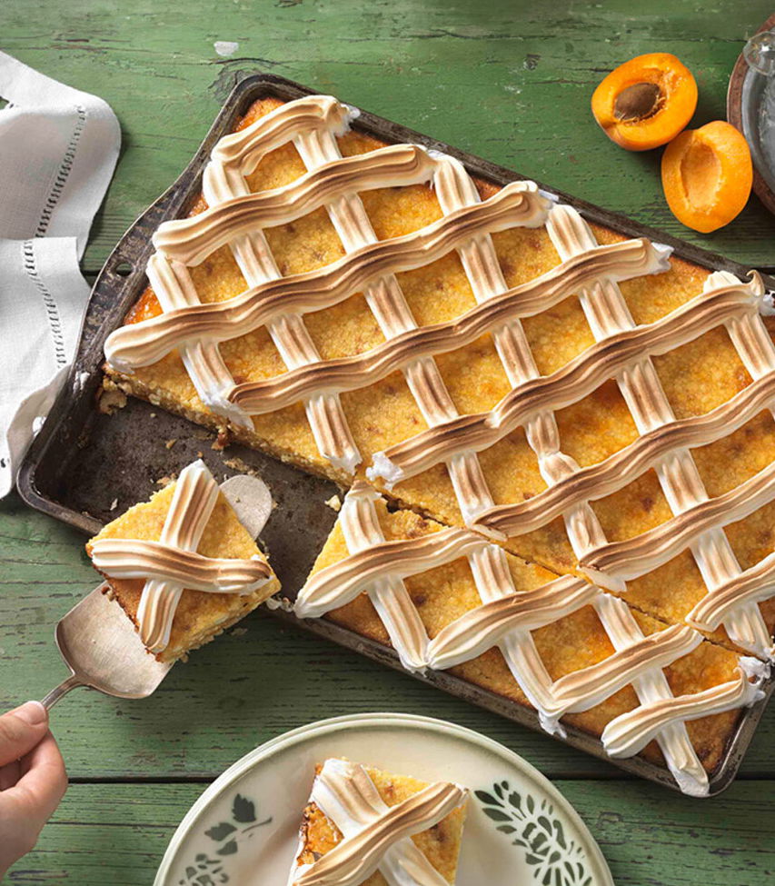Ungarische Topfen-Marillenschnitte mit Gitter