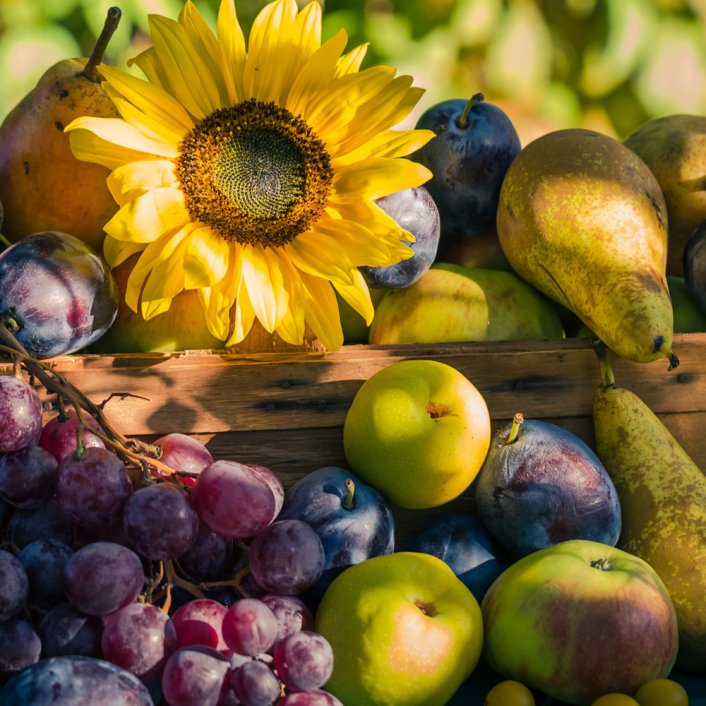 12 saisonale Rezepte für August