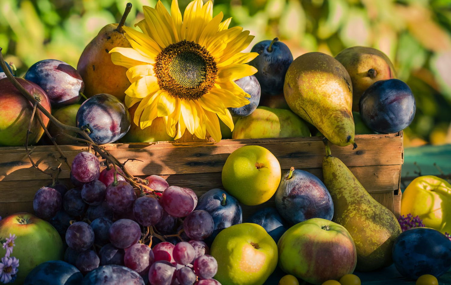 12 saisonale Rezepte für August