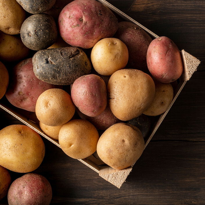 12 saisonale Rezepte im Februar