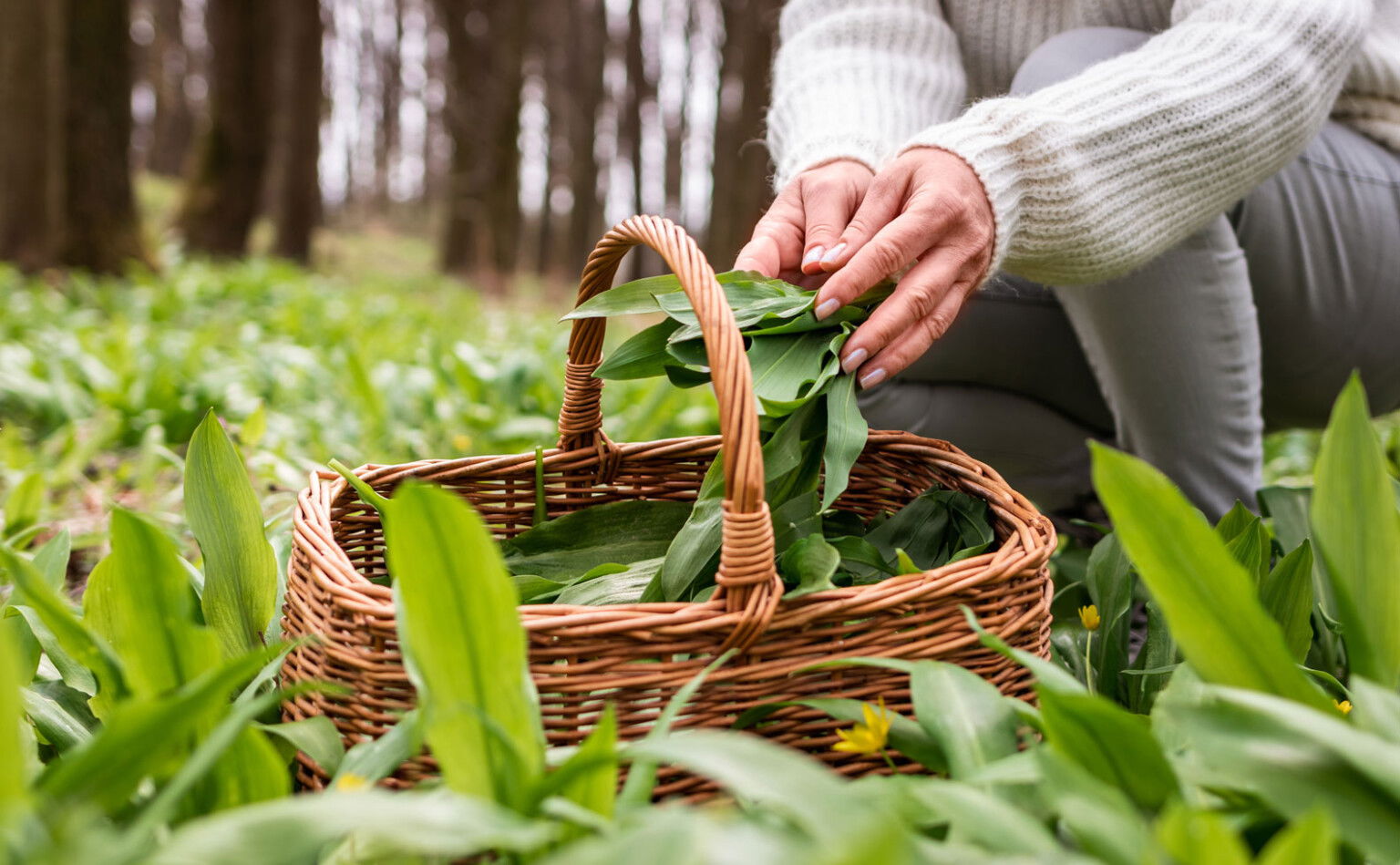 12 saisonale Rezepte für den März