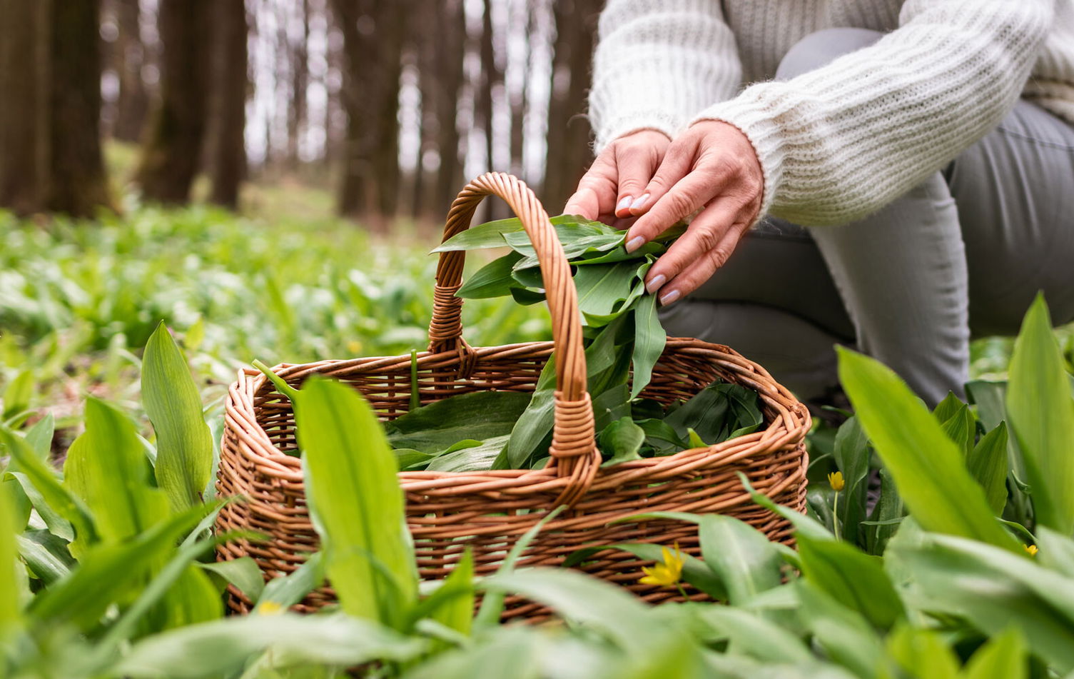 12 saisonale Rezepte für den März