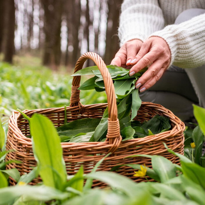 12 saisonale Rezepte für den März