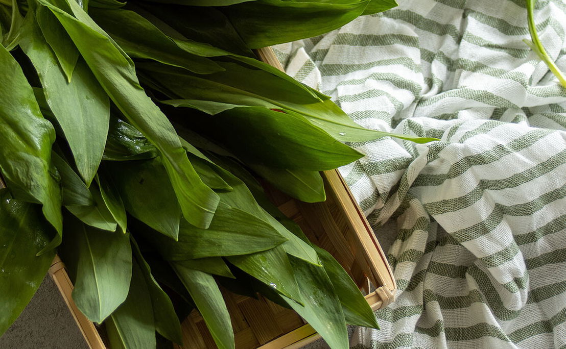 Rezepte mit Bärlauch