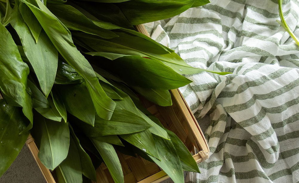 Rezepte mit Bärlauch