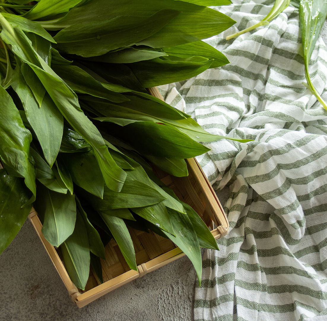 Rezepte mit Bärlauch