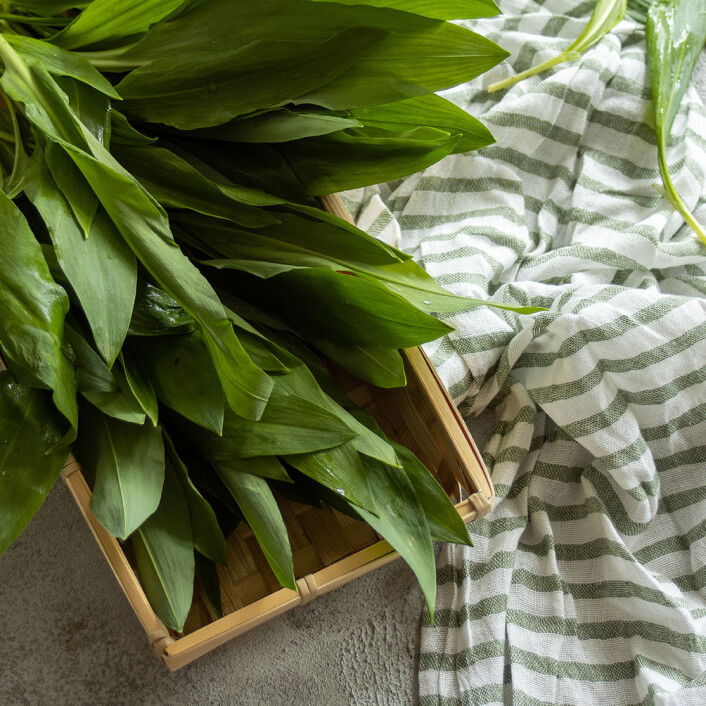 Rezepte mit Bärlauch