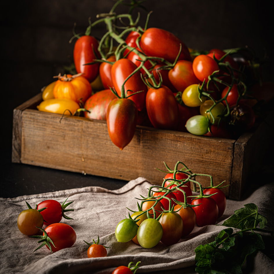 Tomaten Saison