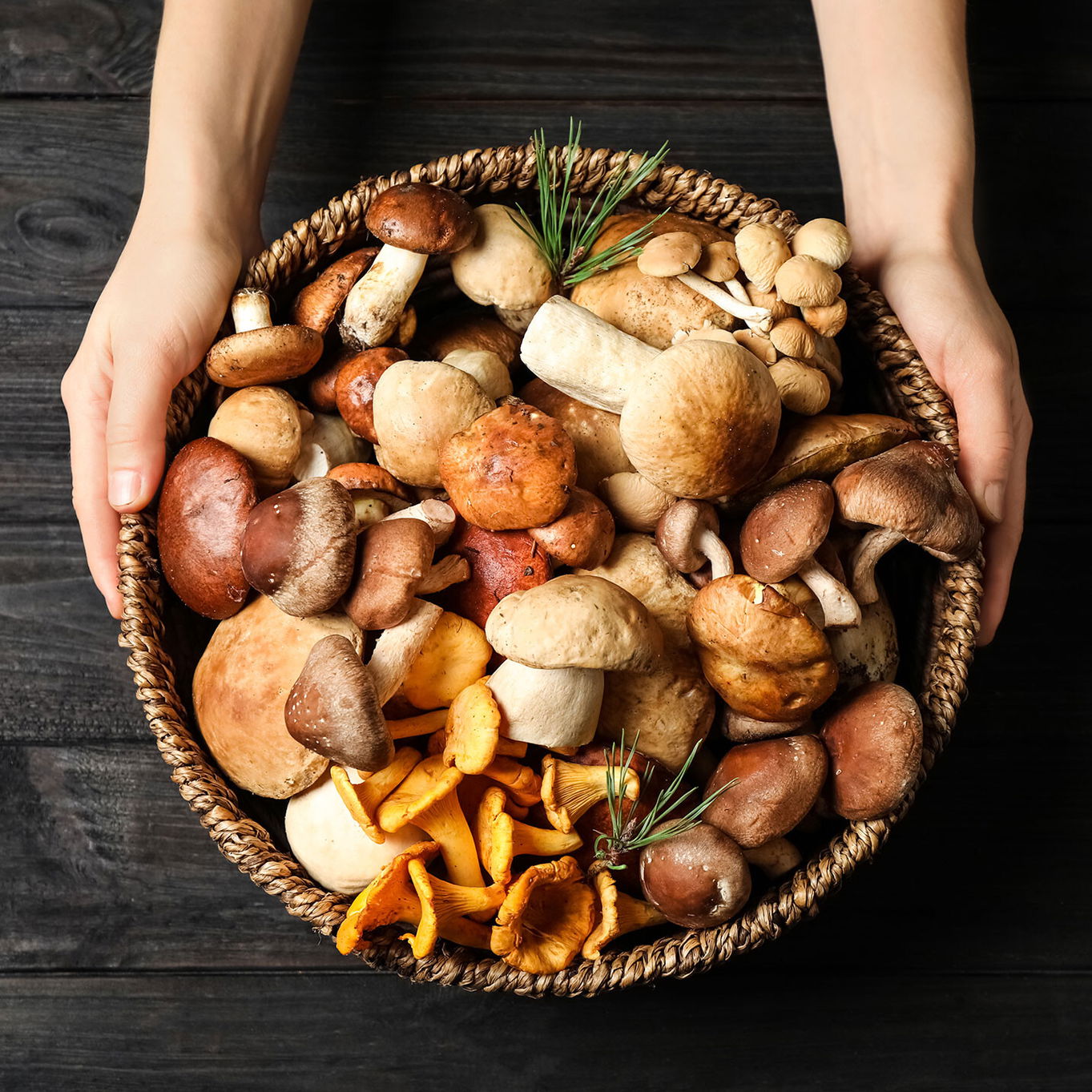 9 Dinge, die du über Pilze wissen solltest