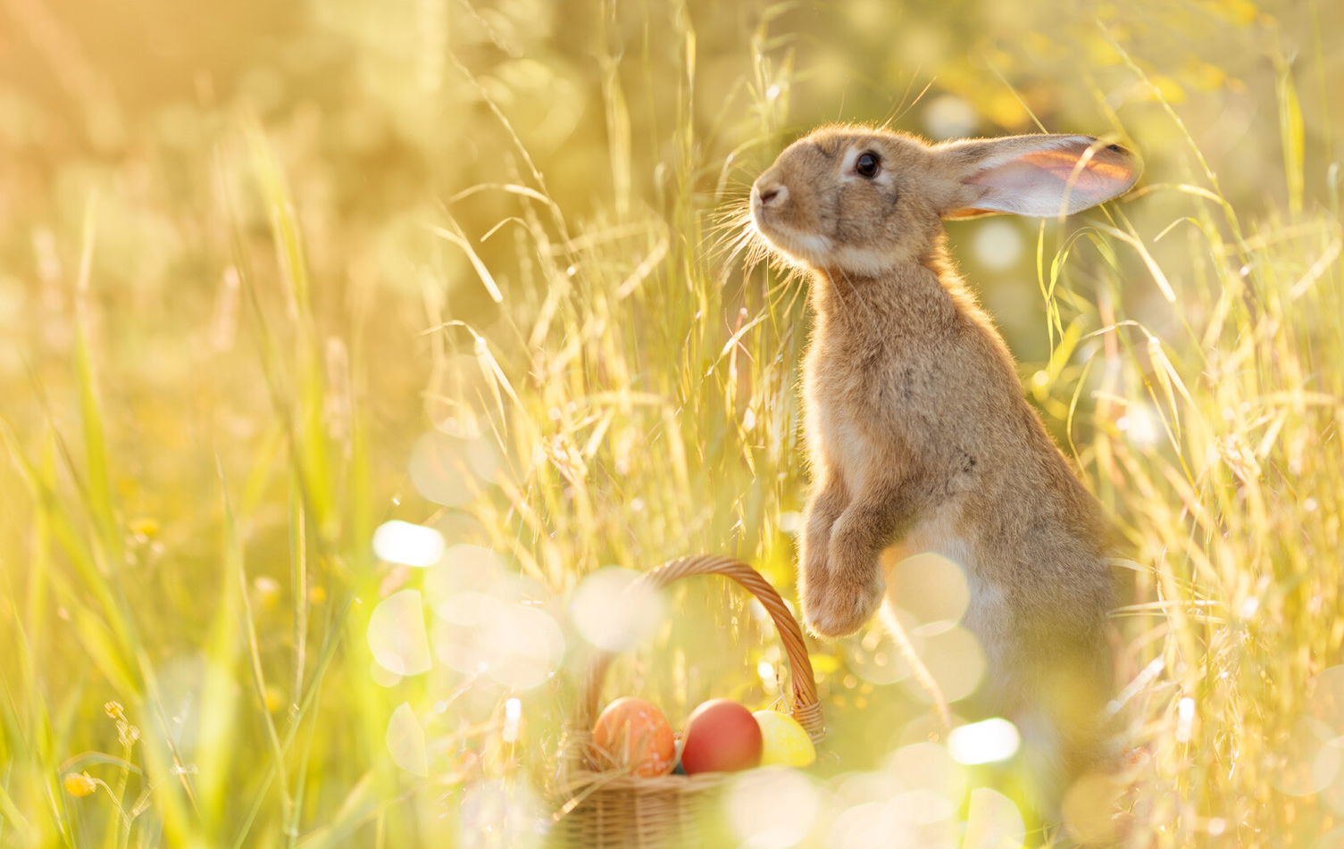 6 heimische Osterbräuche