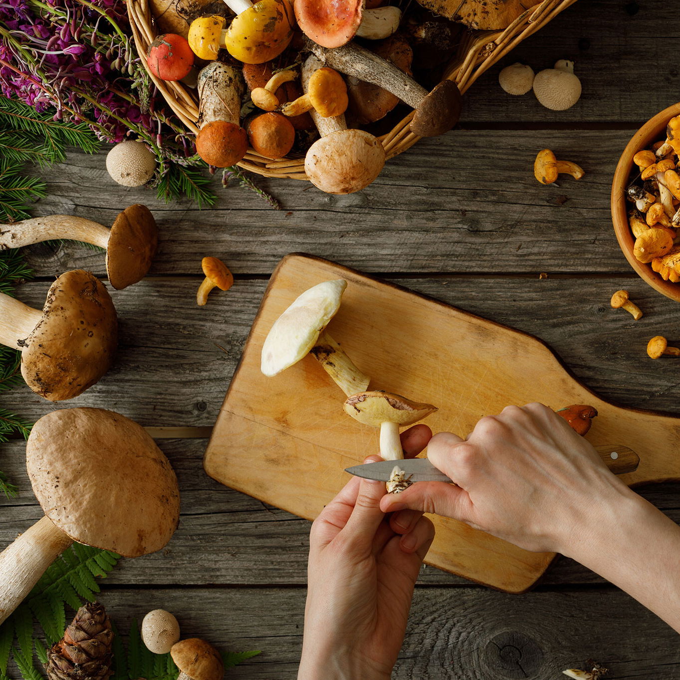 Pilze richtig verarbeiten