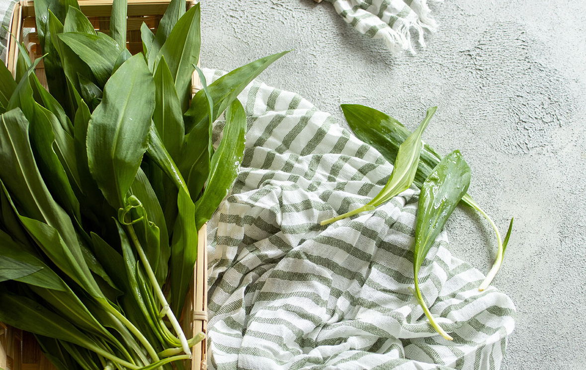 Rezepte mit Bärlauch