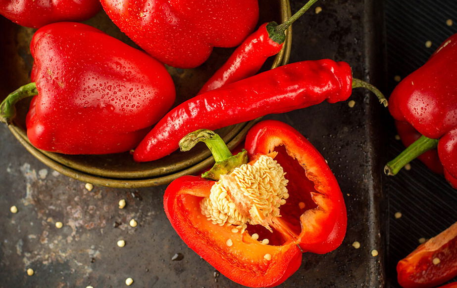 Rezepte mit Paprika