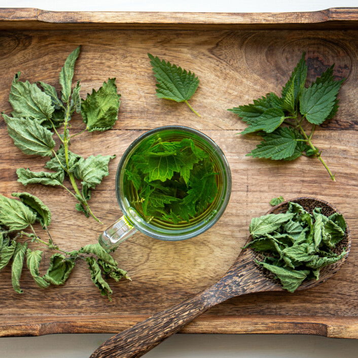 Essbares Unkraut: 9 Kräuter