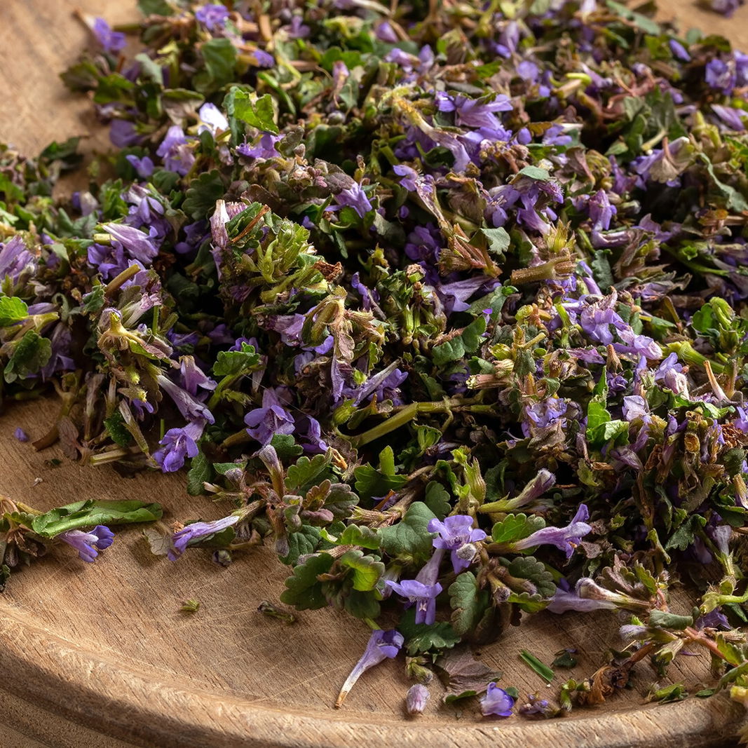 9 Kräuter: Grundelrebe