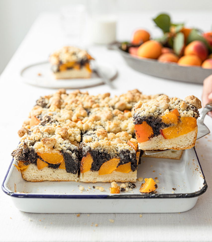 Mohn-Marillen-Hefekuchen