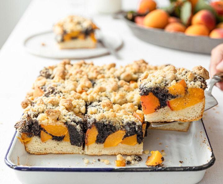 Mohn-Marillen-Hefekuchen