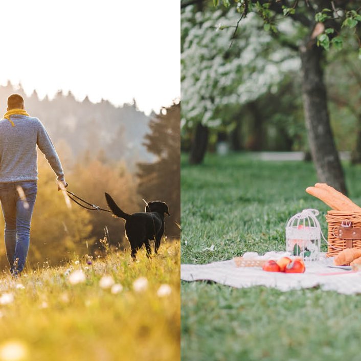 Bladerdeeghapjes bij een familiepicknick in de natuur