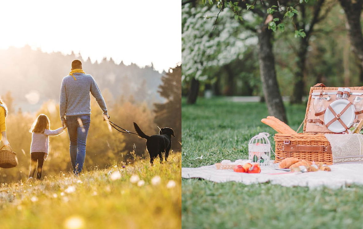Bladerdeeghapjes bij een familiepicknick in de natuur